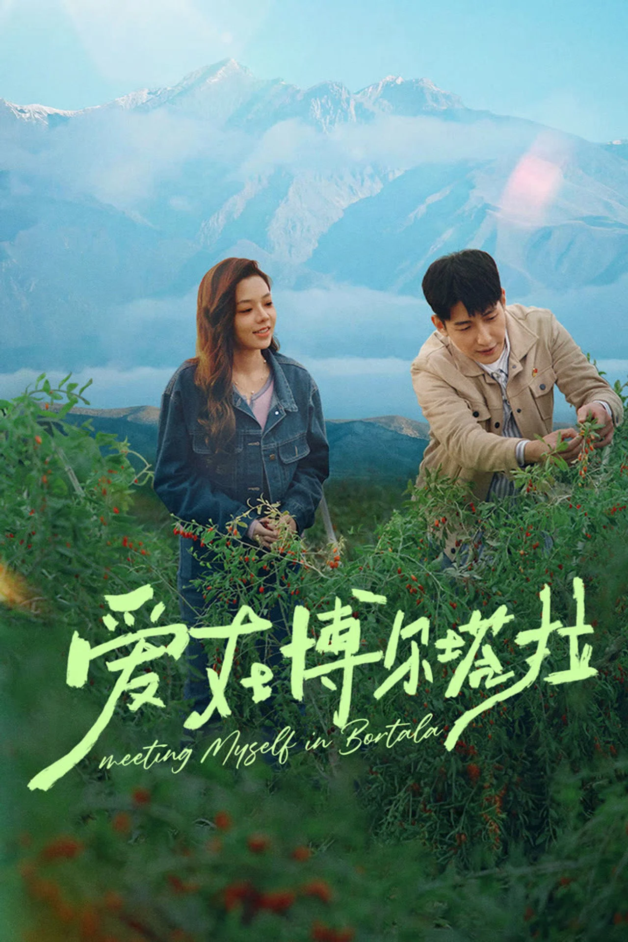 Tình Yêu Ở Bortala